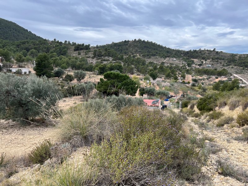 2 Bedroom 1 Bathroom Country home in Hondón de las Nieves