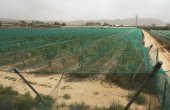 3-7306/796, Land in Monforte Del Cid